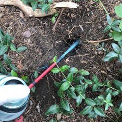 Exterminator Wayne NJ Home Pest Control Services Packages Exterminator Wayne NJ Home Pest Control Services Packages