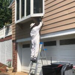 Pest Control Wayne NJ Stinging Insects Removal Pest Control Wayne NJ Stinging Insects Removal